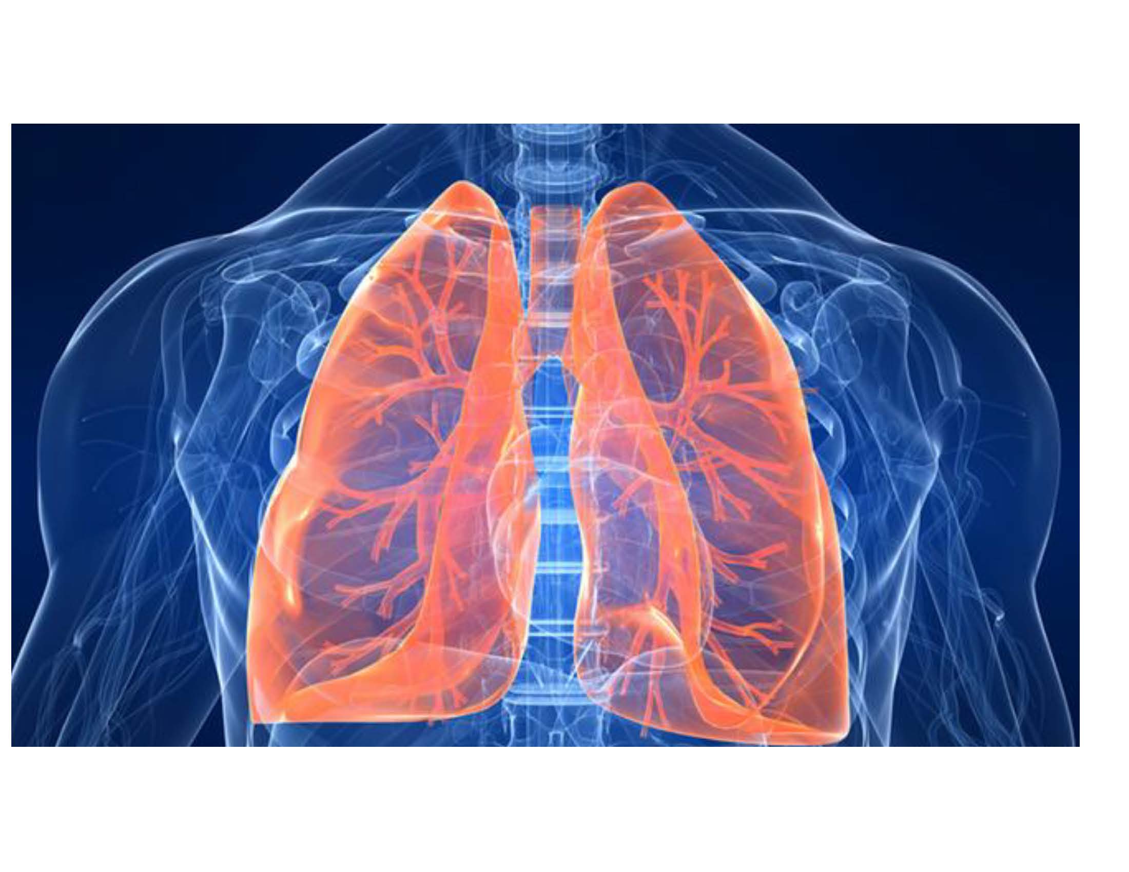 A new treatment for lung scarring due to Covid-19 infection